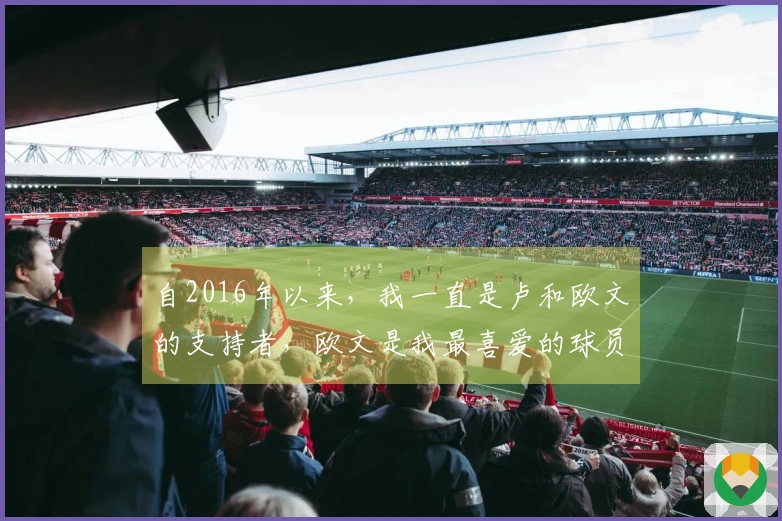 自2016年以来，我一直是卢和欧文的支持者，欧文是我最喜爱的球员之一